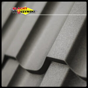 Металочерепиця REN 0,5 мм RAL 7024 - PEMA - Blachy Pruszynski