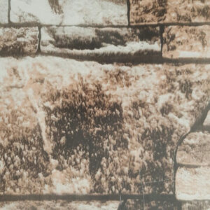 Профнастил С-18, дикий камінь 0,4 мм Printch Китай у плівці.